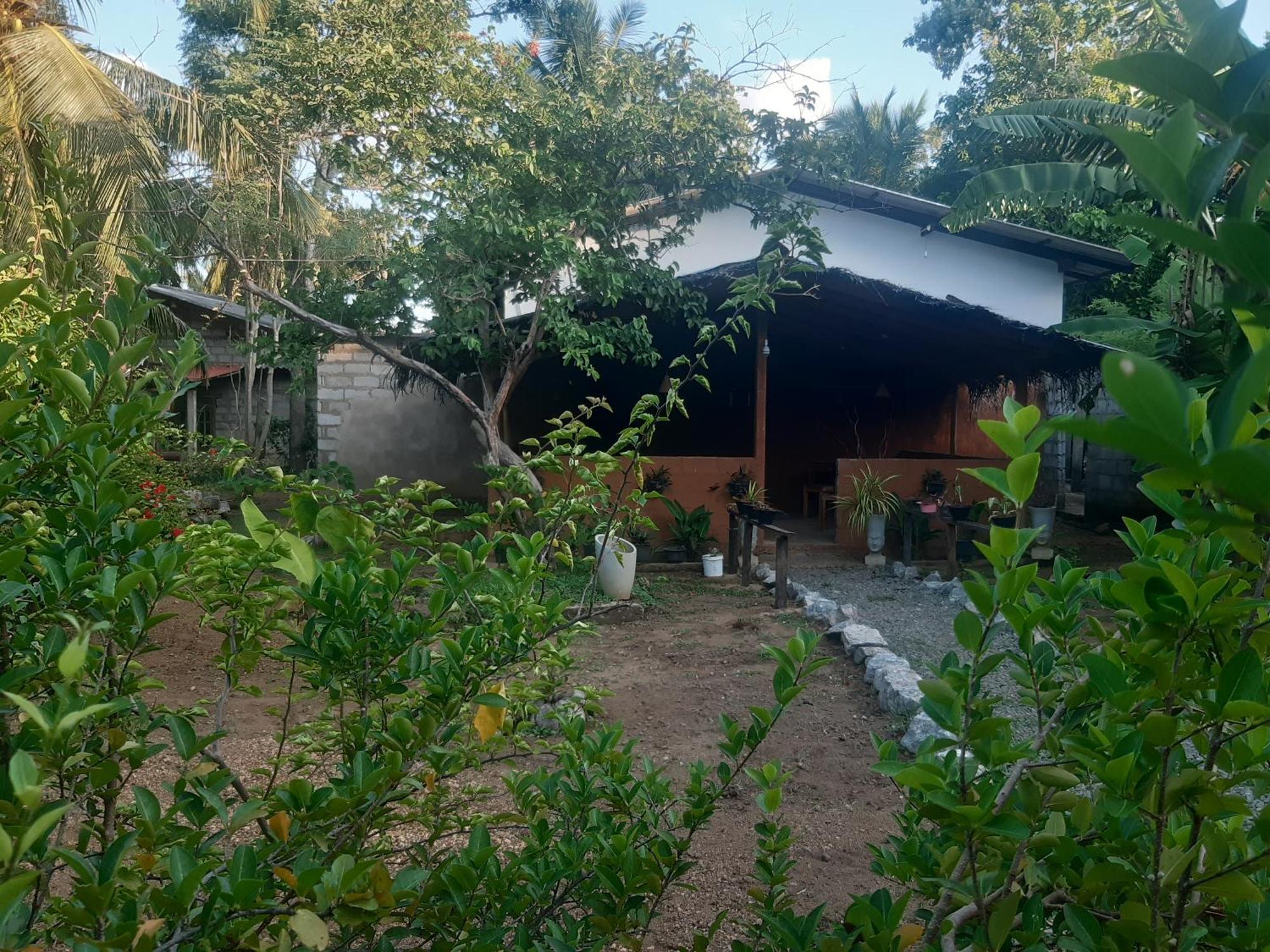 Sigiriya Danu Homestay Exterior foto